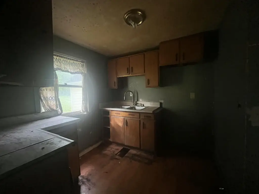 Picture 15