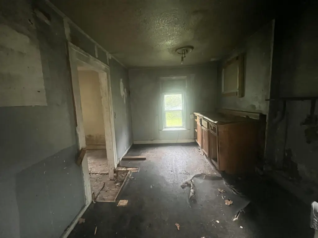 Picture 21