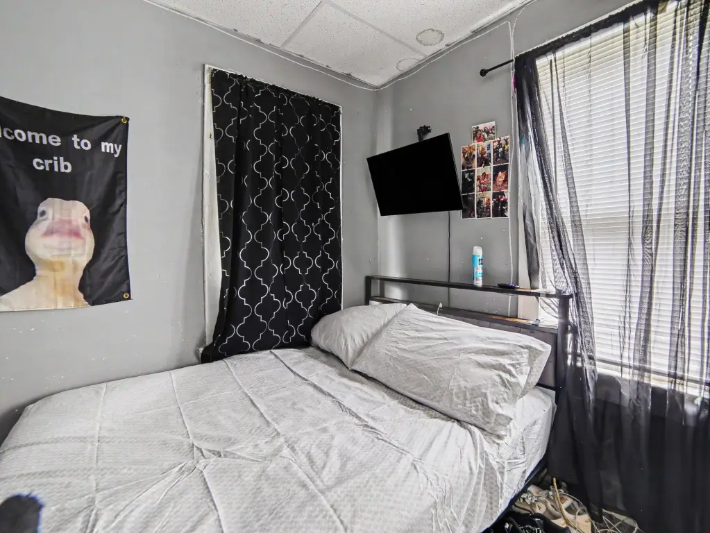 Picture 14