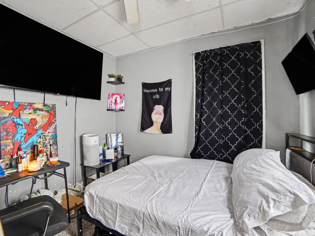 Picture 15