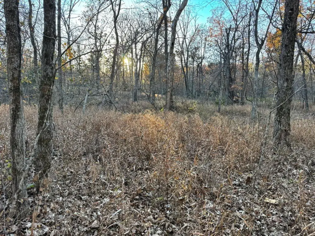 Picture 25