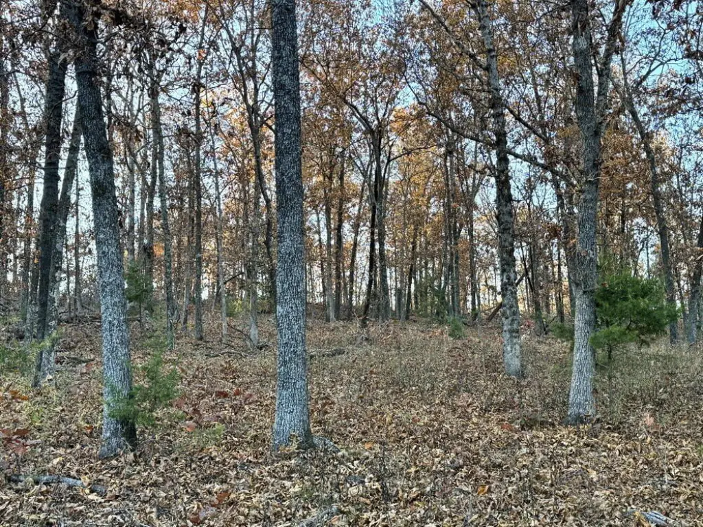 Picture 21