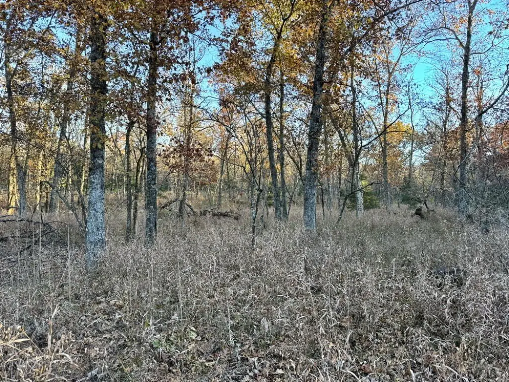 Picture 23