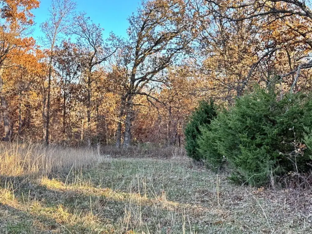 Picture 14