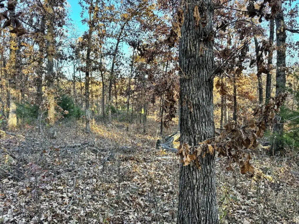 Picture 17