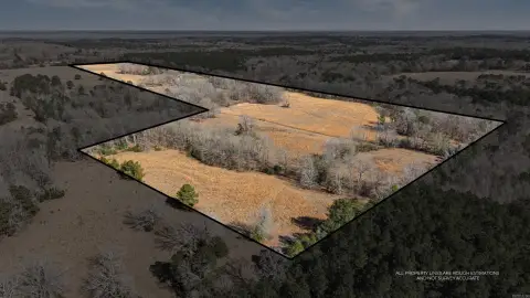 Pastureland with Home & Cattle