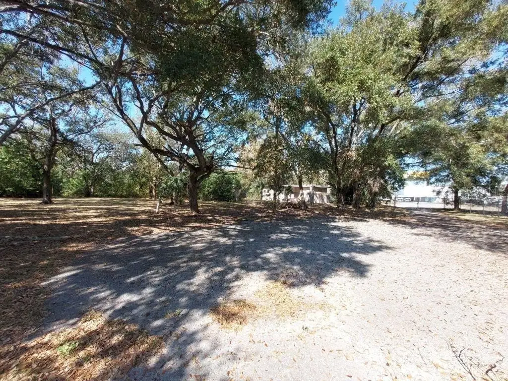 Picture 11