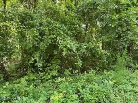 Residential Lot in Waterfront Community