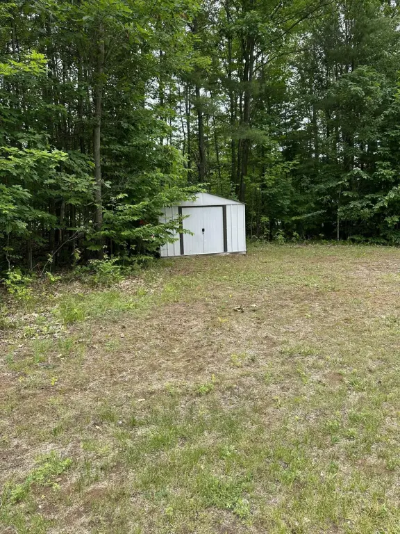 Picture 5
