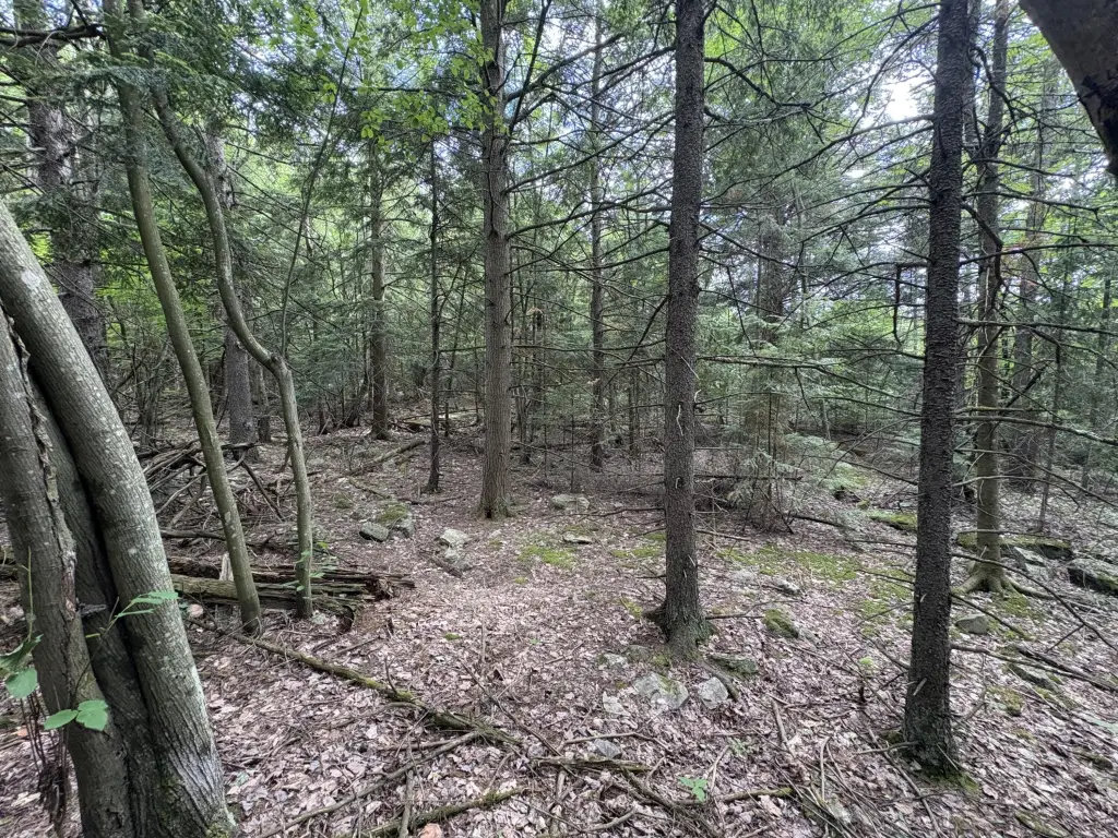 Picture 6