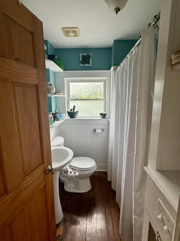 Picture 19