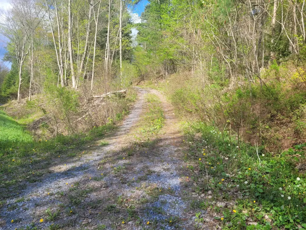Picture 3