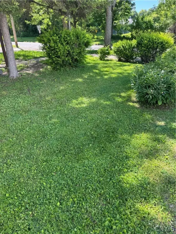 Picture 11