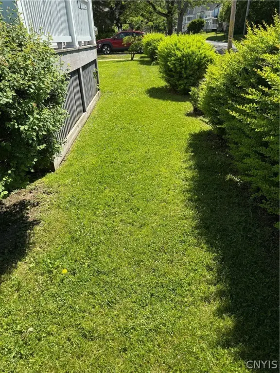 Picture 10