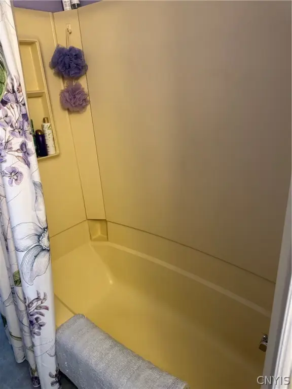 Picture 15