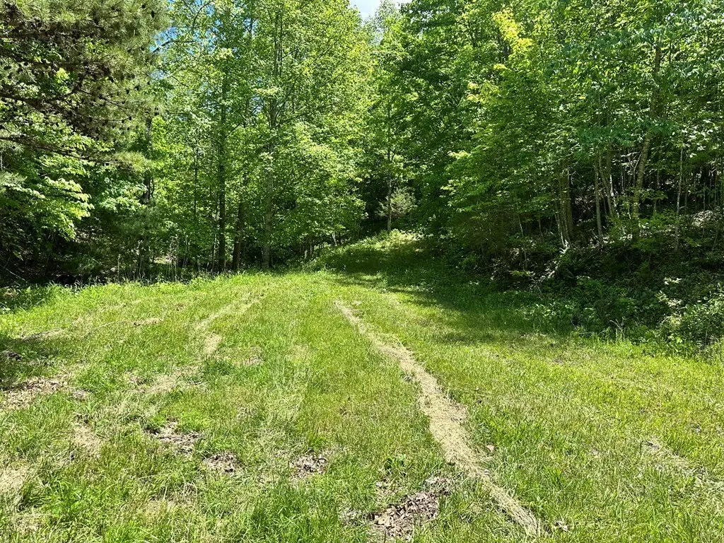 Picture 21