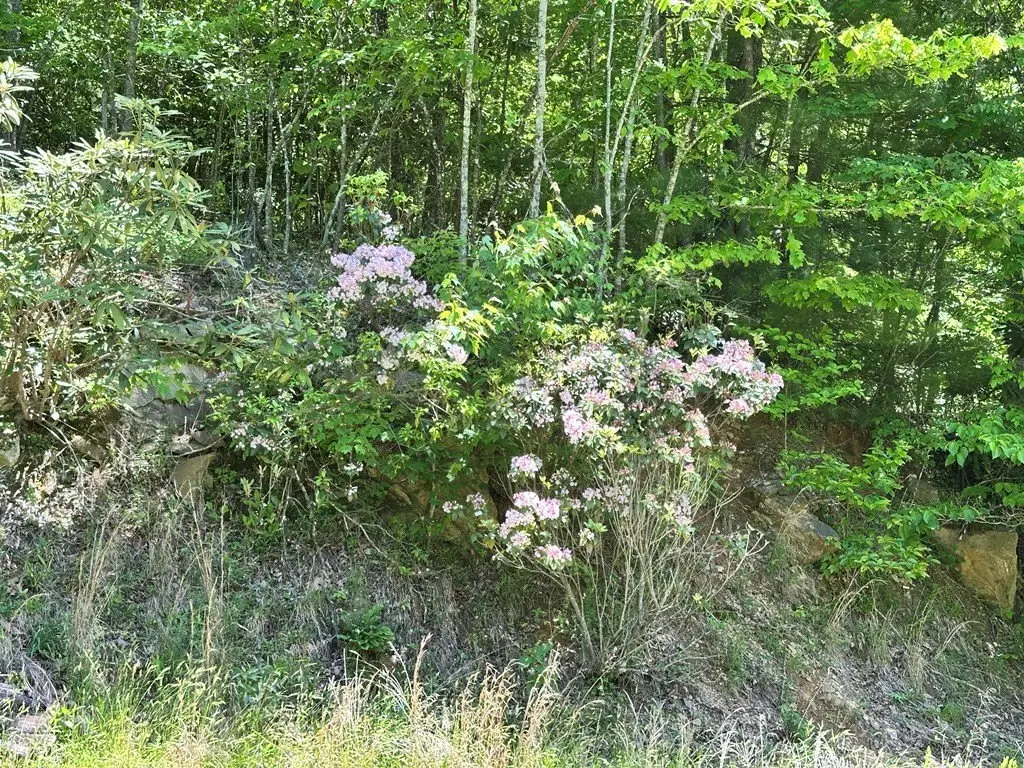 Picture 17