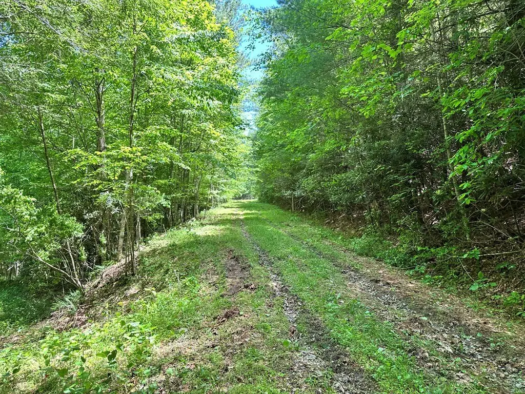 Picture 24