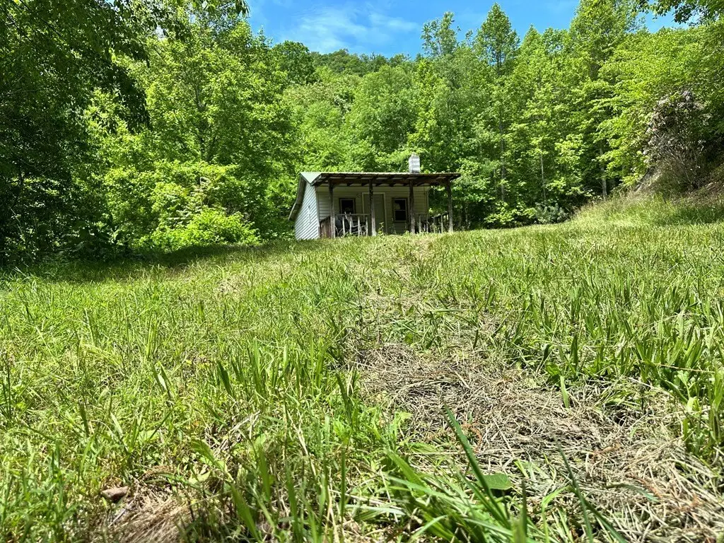 Picture 16