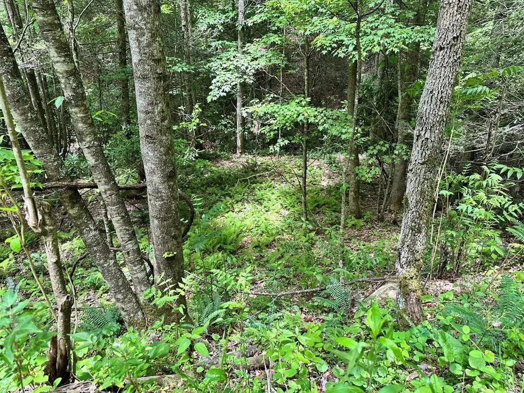Picture 25