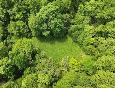 Hunting Land with Cabin