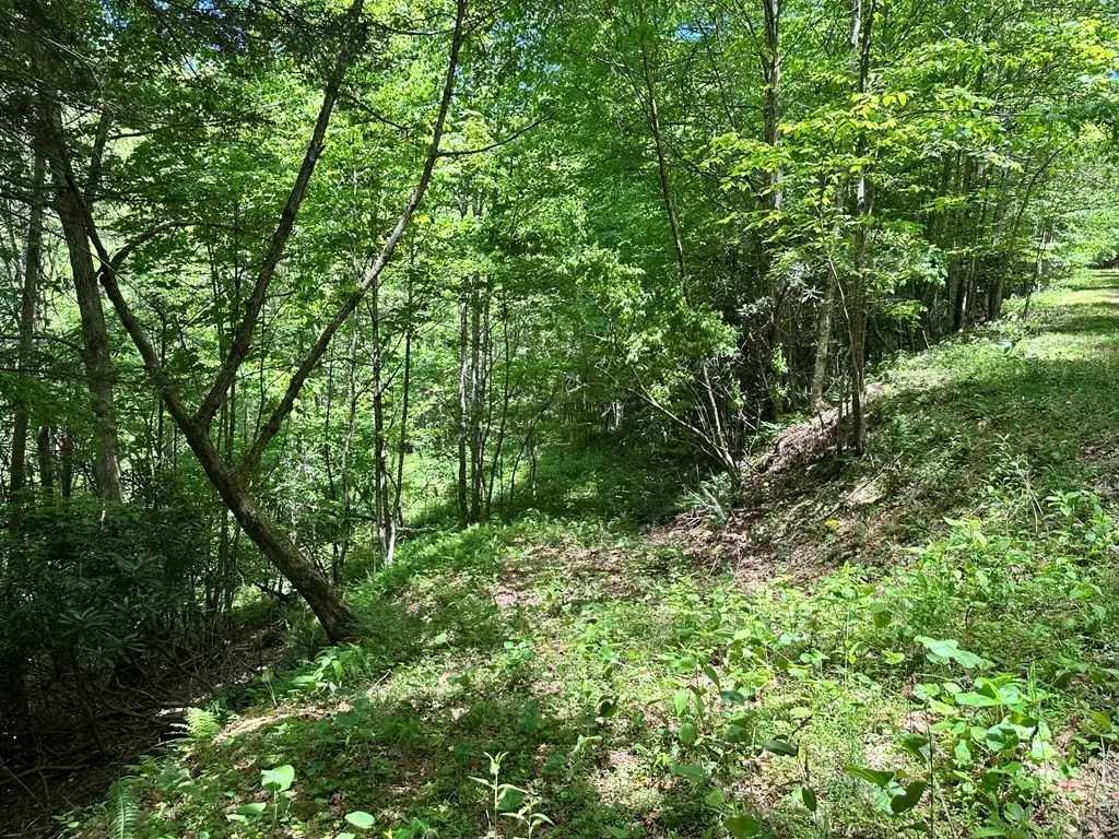 Picture 23