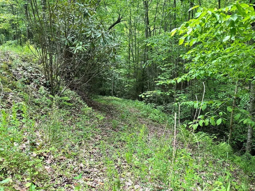Picture 15