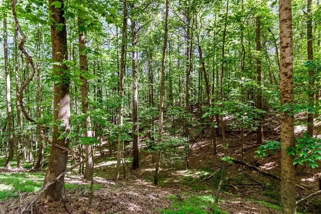 Picture 33