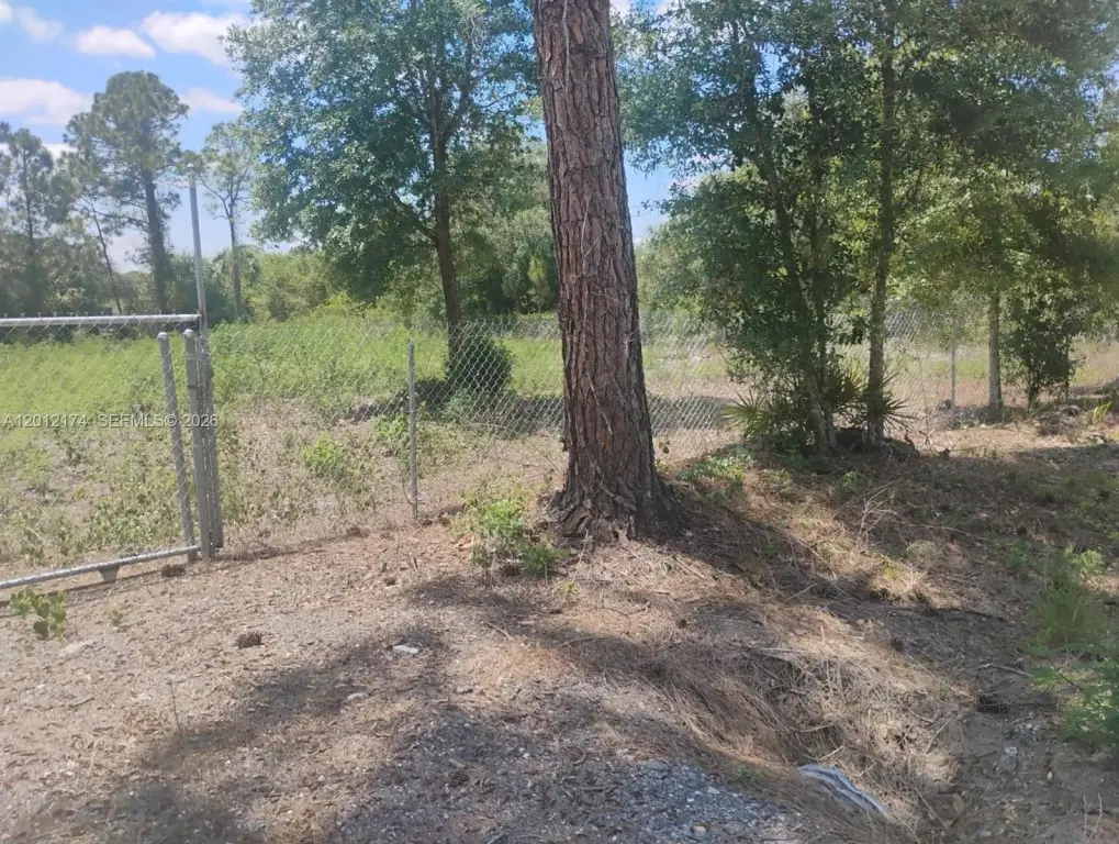 Picture 5