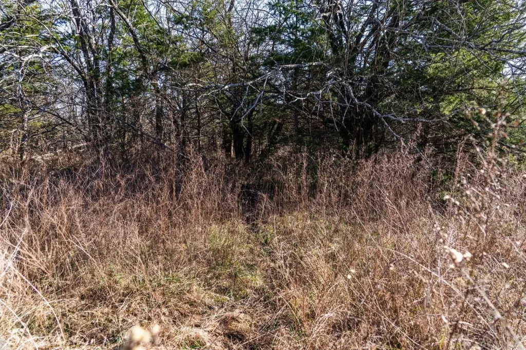 Picture 30