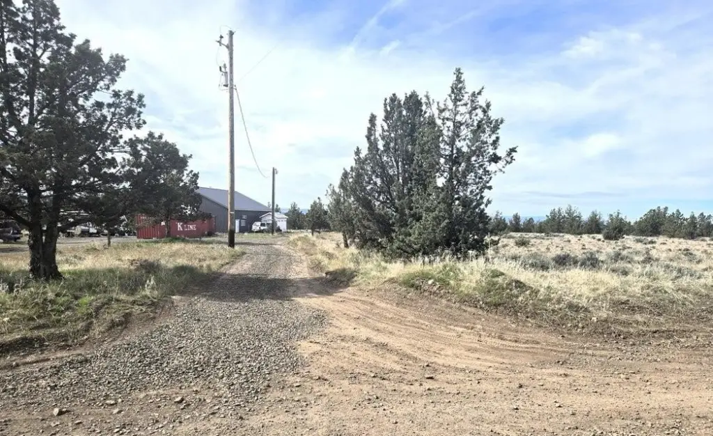 Picture 15