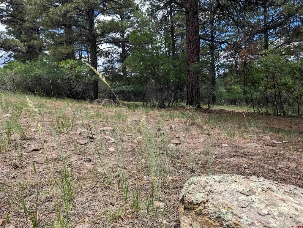 Picture 15