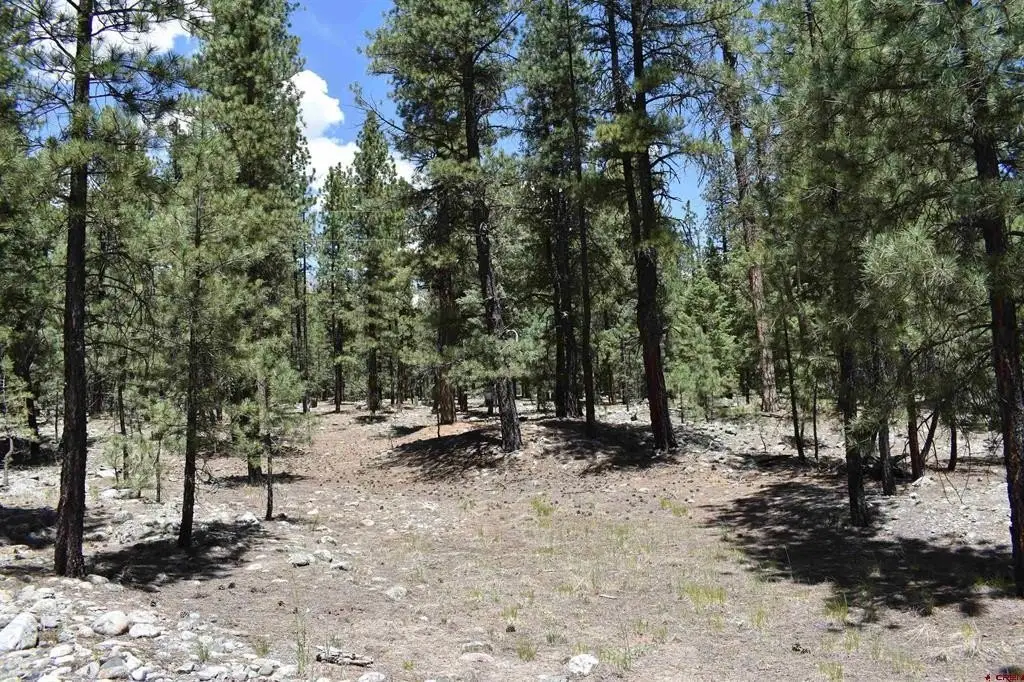Picture 8