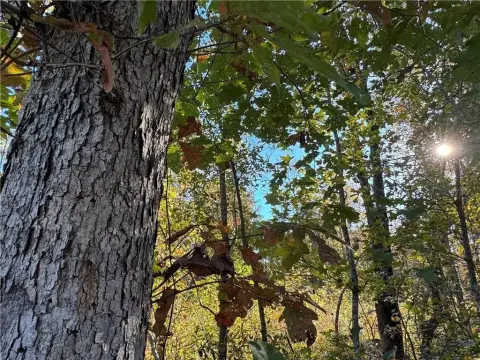 Camp Hill Acreage For Sale