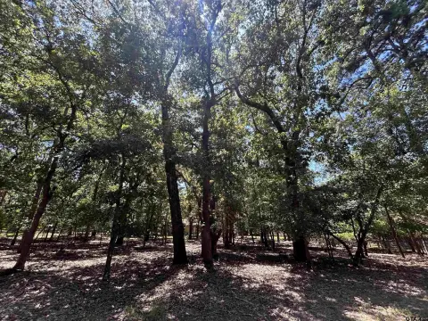 Residential Lot in Holly Lake Ranch