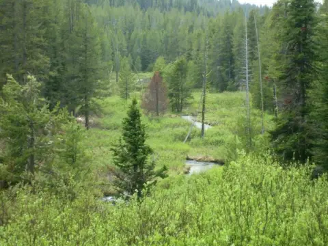 Idaho City Vacant Land Parcel
