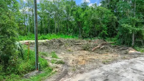 Picture of Land at Se 100Th Pl 16535, Ocklawaha, FL