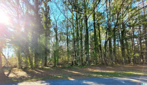 Residential Land in Talladega, AL