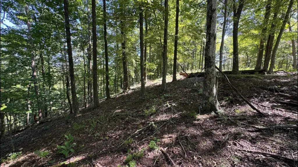 Picture 6