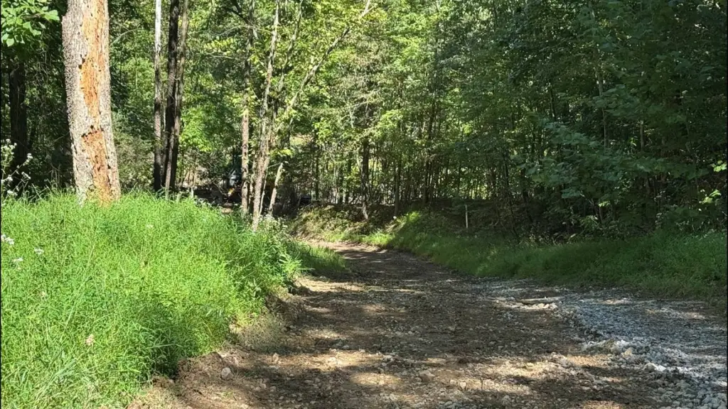 Picture 16