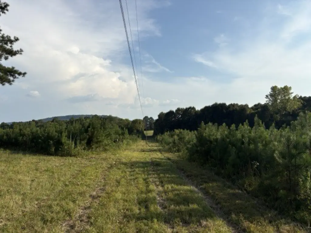 Picture 13