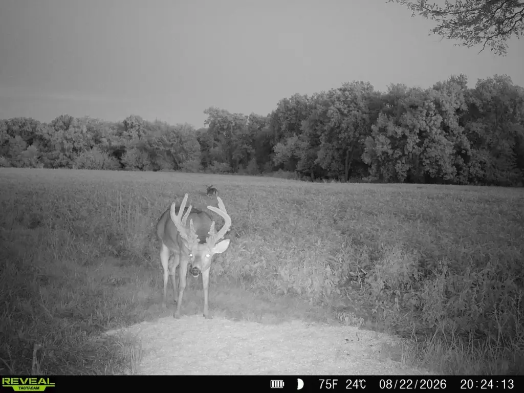 Picture 2