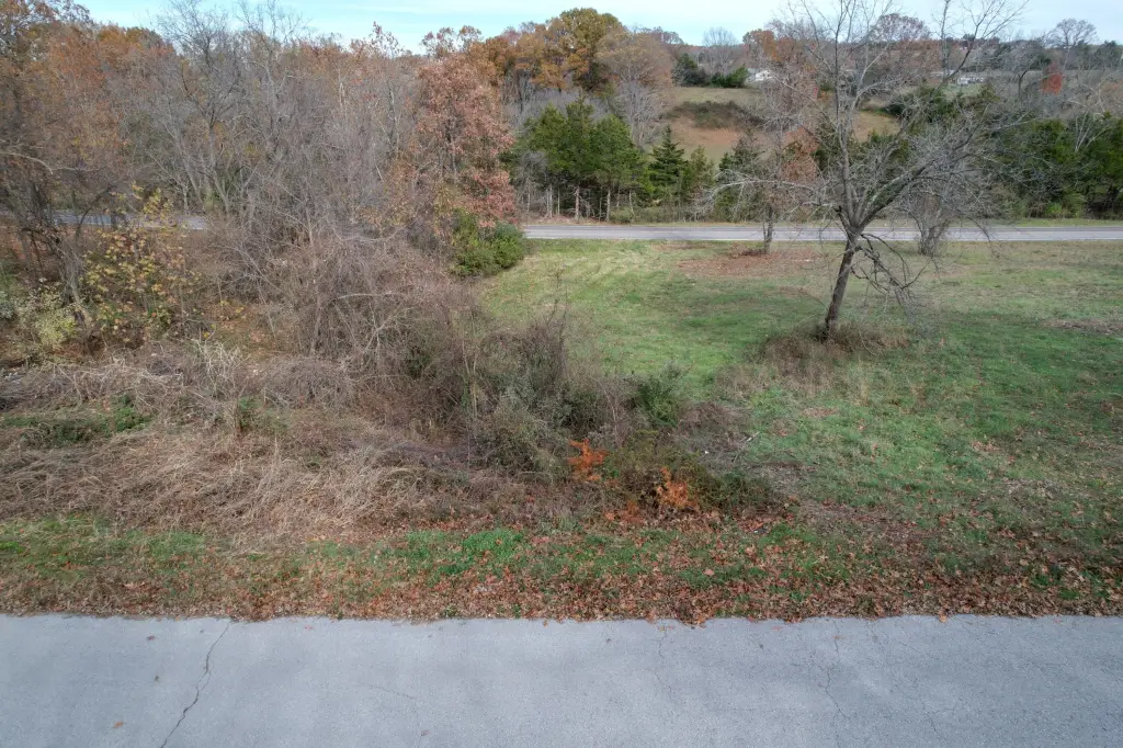 Picture 5