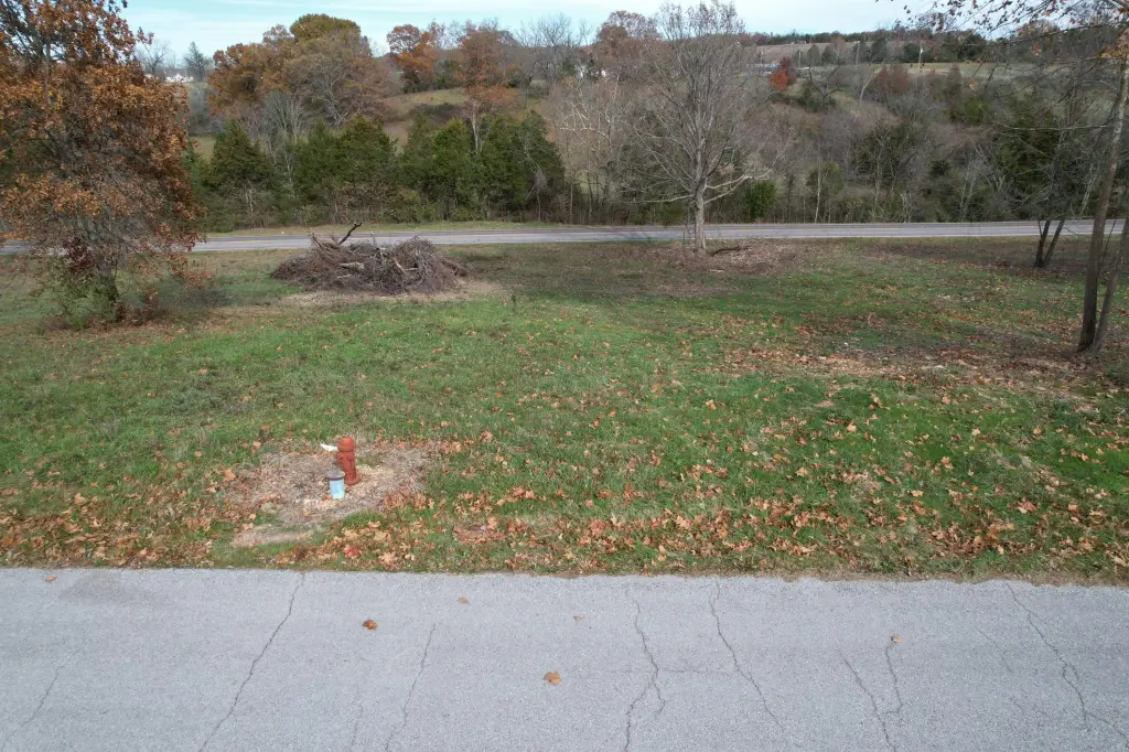 Picture 3