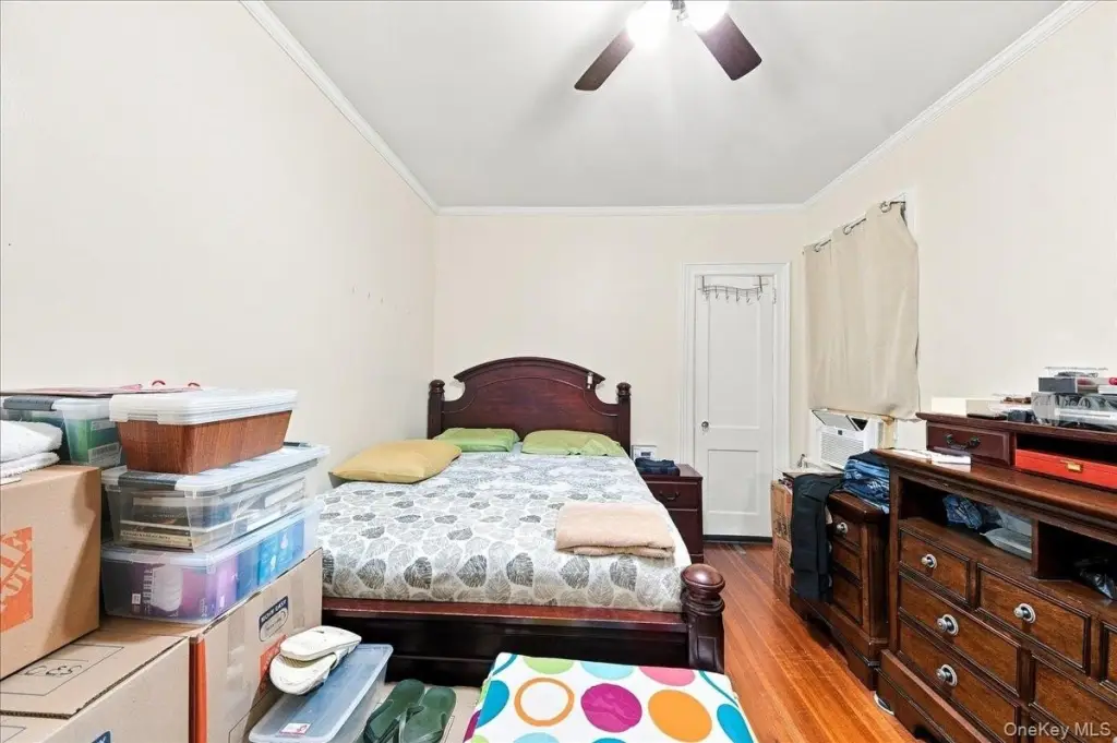 Picture 17