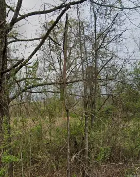 Residential Lot in Camden, AR