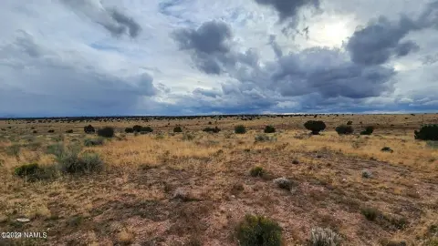 36 Acres in Williams, Arizona