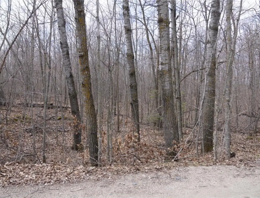 Picture 17