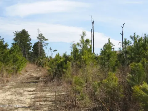 Waterfront Land with Canal Frontage