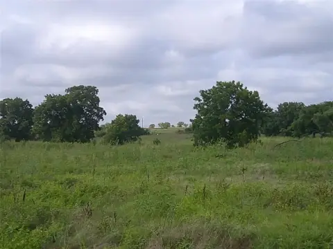 Bowie, TX Land with Pecan Trees